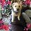John_Duvall_BA